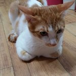 나의 동거남 <b>도칠</b>이 일상