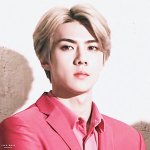 [EXO] 이 <b>머리만</b> 아니면 좋겠다