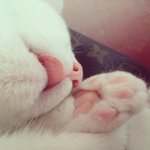 저기요 여기서 <b>자면</b> 안 돼요