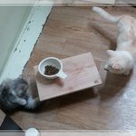 [미뇽] 나잡아봐라~ 매력터지는 포도<b>젤리</b>