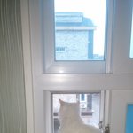 [고양이] 안타까운 사진발 2