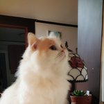 <b>뚱띠</b>엉똥군ㅎ