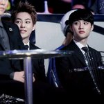 [EXO] <b>구멍</b>냥즈vs현멍냥즈