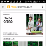 [방탄소년단] 그 애들 마이펫<b>상담소</b> 생방