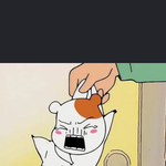 쥐보는<b>즉시</b> 차단하세요