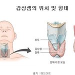 ** 예방 불가능한 갑상선 질환 ! 정기 검진이 <b>해답</b>이다! ** 