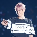 [백현] 백현 <b>도쿄</b>돔 나비소녀 직캠 봐씀?