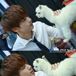 [방탄소년단] 어깨형 <b>눈빛</b> 보소..ㅠㅠㅠ