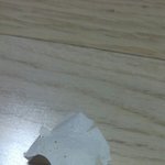 [약혐주의] 블랙헤드 <b>학살</b>후기!! ㅈㄴ시원함ㅋㅋㅋ