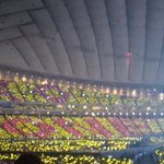 [EXO] 마마투표 현재상황!!!