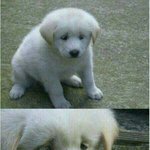 [댓글부탁해] 짝남한테 선톡해본사람