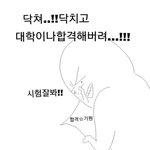 [세븐틴] 내일수능보는수니들