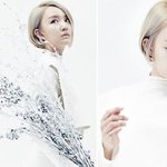 [드루와] 셀카고자 연예인들