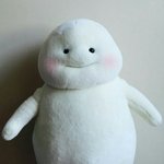 [드루와] 애들아 이거좋아?