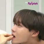 [방탄소년단] 와 이거진짜 홀릴거같다