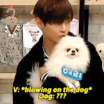 [방탄소년단] 태태가 귀찮은 멍뭉이.<b>gif</b>