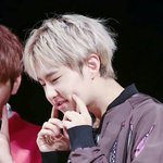 [세븐틴] 아직 뭐하나 확실한게 없음