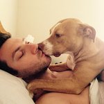 막무가내로 관심 요구하는 반려<b>견들</b>