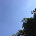젠요가 구상옥