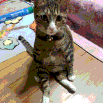 [꽃순이일상] 산첵다녀온 꽃순이...^^