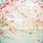 [10대의성] 나 너무 <b>문란</b>한걸까