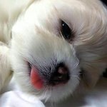 수능<b>본분</b>들도와주세요 