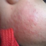 [조언부탁해] <b>극혐</b>주의 진짜로