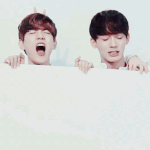 [EXO] <b>비글</b>즈가 벌써 반오십이라니