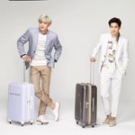 [EXO] <b>눈정화</b>