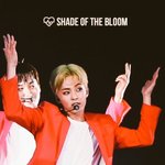 [시우민] 나 시우민 <b>이</b> 영상보고 소름돋았음 ㅇㅅㅇ