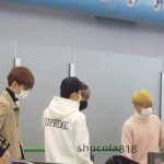 [EXO] 애들 <b>공항사진</b> (세훈 종대  민석)