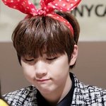 [댓글부탁해] 그룹별입덕담당인남돌