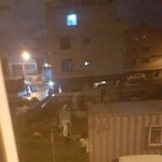 <b>동물</b>학대 목격했습니다