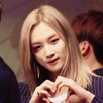 [세븐틴] 진짜 인형같다