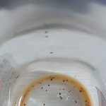 [꼭댓글부탁] <b>스벅</b>커피 침전물이 이런게 맞나요?