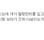[10대의성] 19))) 여자들아 다들어와봐
