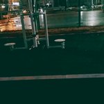 나지금 혼자<b>공원</b>에서 바람쐬고잇어