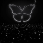 [방탄소년단] 미쳣쟈냐ㅠㅠㅠㅠㅠㅠ눙물나