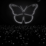 [방탄소년단] 와 잠은 못잔다