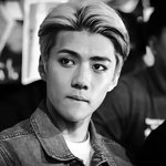 [EXO] 와 <b>오세훈</b>