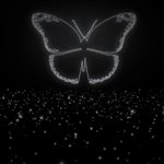 [방탄소년단] 사실나어제겁나