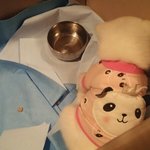 [조언부탁해] 이거 어떻게 말해야됌???