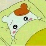 [조언부탁해] (+)꿈(<b>장래</b>희망)확실하게 정한애들있어?