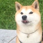 [댓글부탁해] 너희들도 비밀 한 개 <b>정돈</b> 있지 않냐