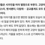 [시우민] 싱글즈 시우민 인터뷰 미리보기