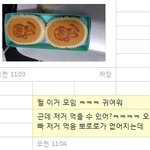 [ㅇㅇ] 단호박 남매의 카톡