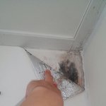 [방탈죄송] 전세집하자?때문에 슬프네요