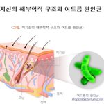 / 블랙비 / 박진만 / 건강<b>fm</b> / 칼럼니스트 / 트레이너 /...