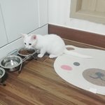 [<b>솜</b>이봄이] 육묘일기 5