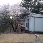 <b>소다</b> 성장기3